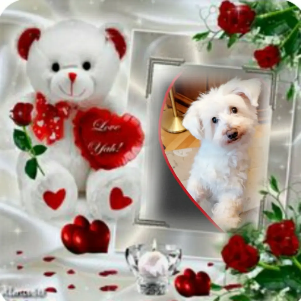 Condolence image of Ewa & Krzysztof mit Jacki tief im Herzen ❤