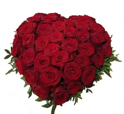 Condolence image of Für meine geliebte Fellnase ♥️⭐♥️