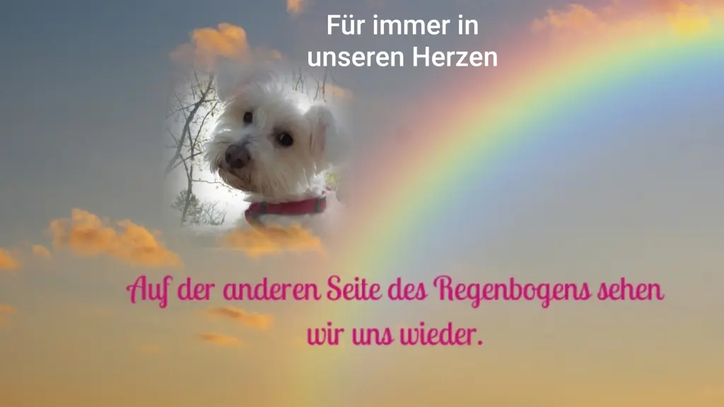 Condolence image of Ewa & Krzysztof mit Jacki tief im Herzen ❤