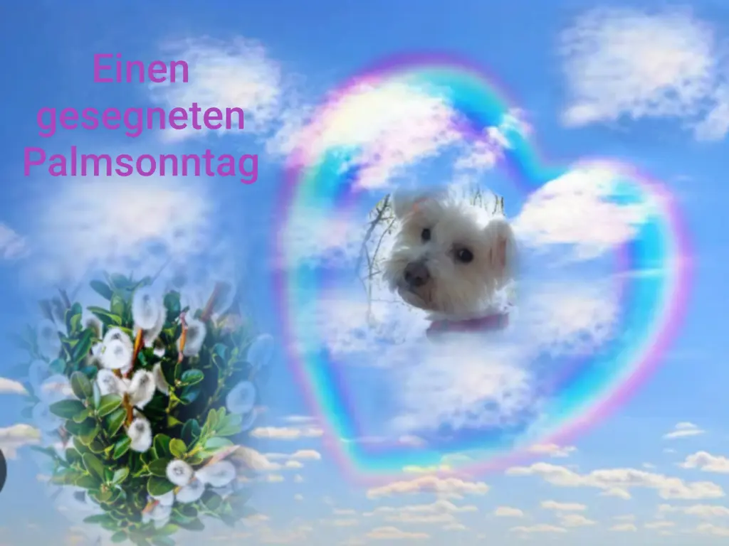Condolence image of Ewa & Krzysztof mit Jacki tief im Herzen ❤