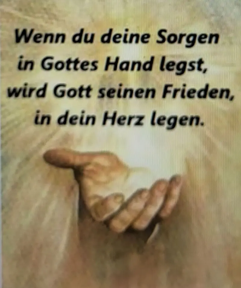 Condolence image of Elke und Horst mit Fiby ❤️