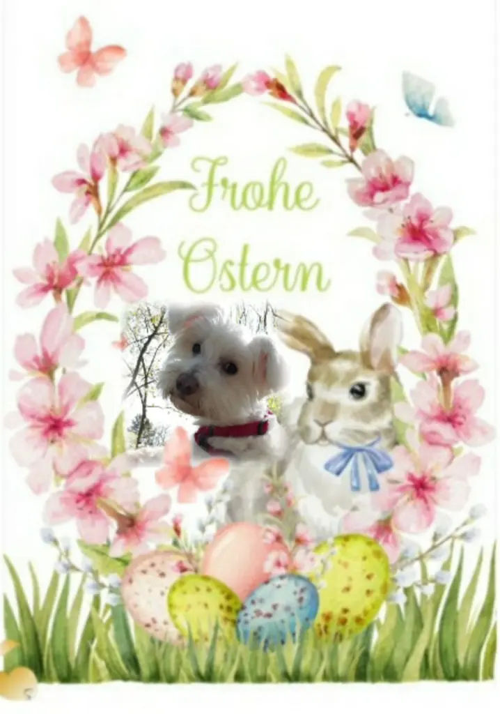 Condolence image of Ewa & Krzysztof mit Jacki tief im Herzen ❤