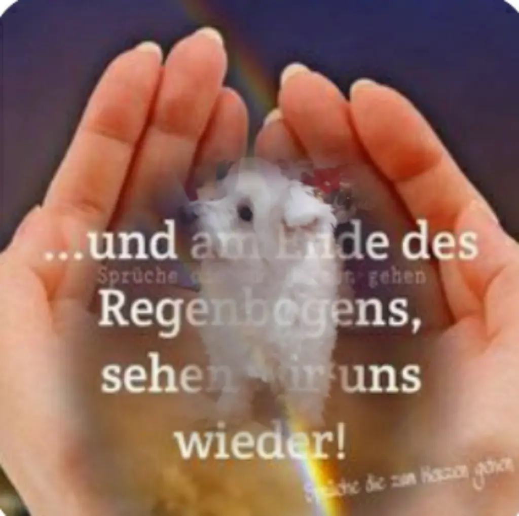 Condolence image of Ewa & Krzysztof mit Jacki tief im Herzen❤