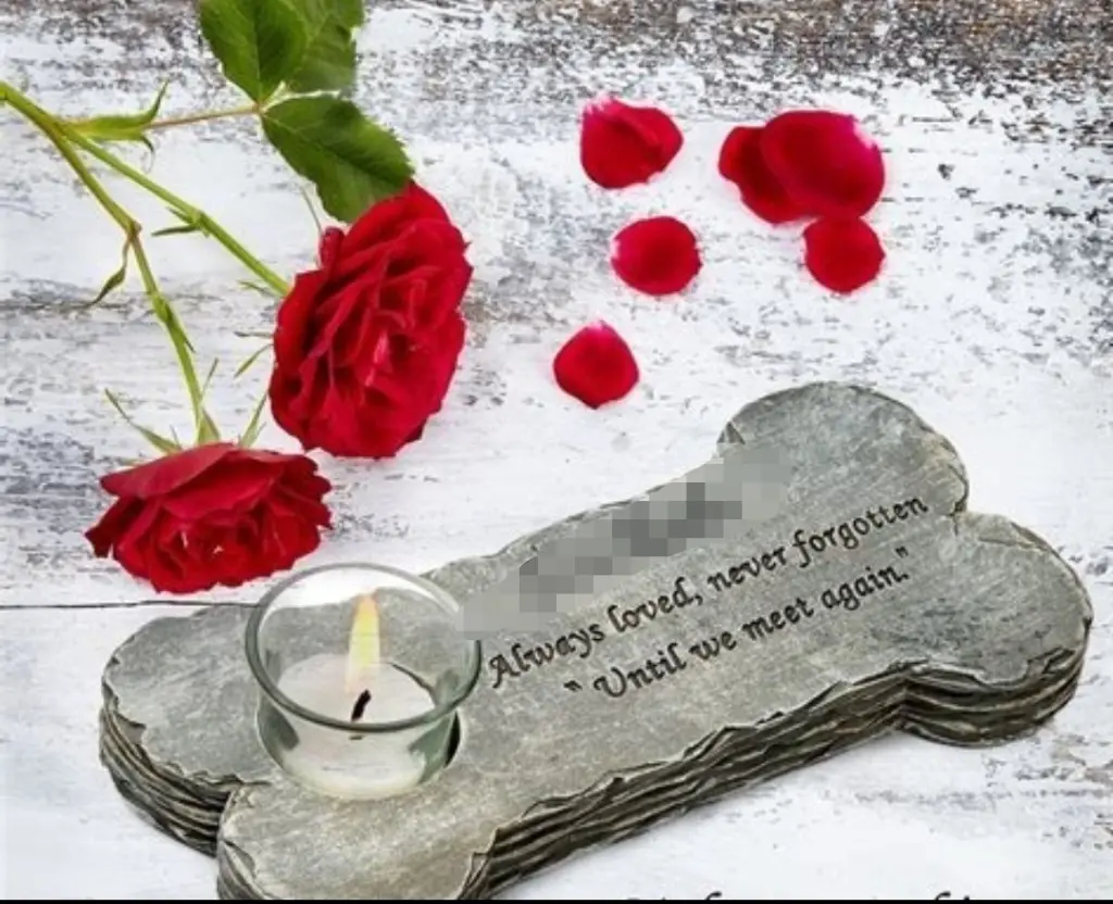 Condolence image of Gaby mit Snowy ❤️