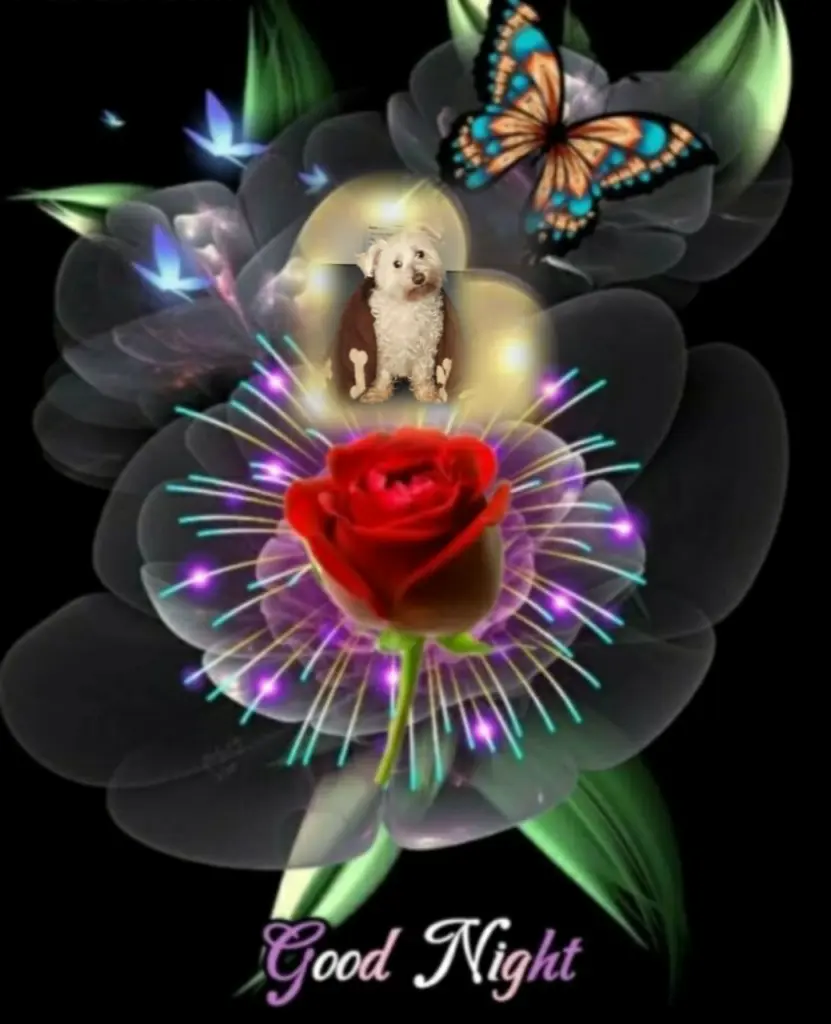 Condolence image of ⭐❤Abendgrüße❤⭐