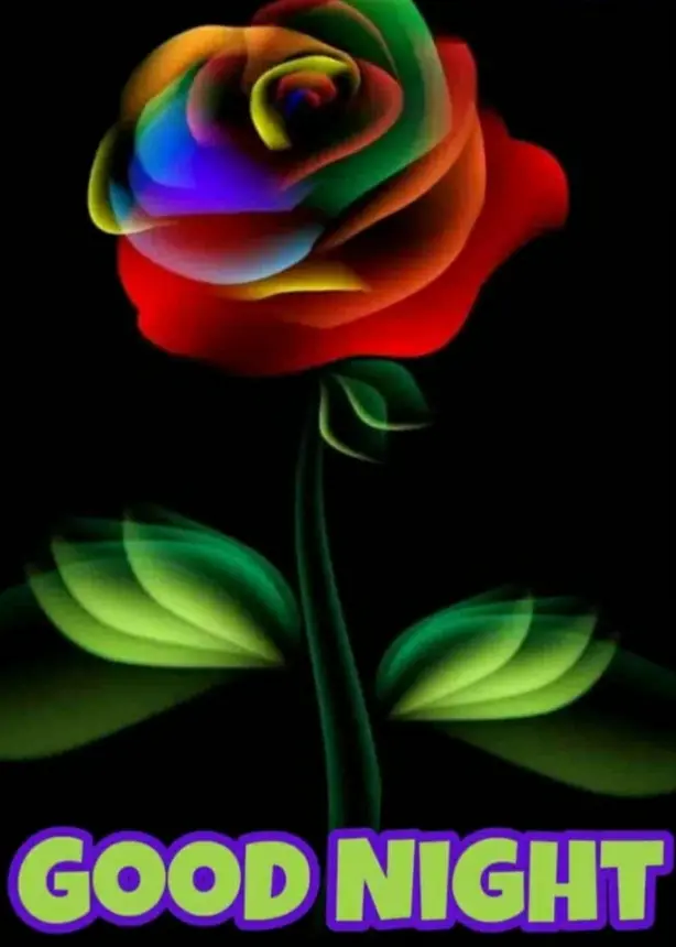 Condolence image of ⭐Gute Nacht⭐