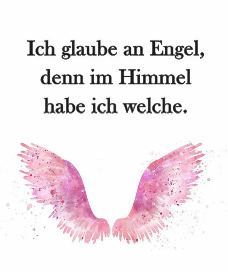 Condolence image of Für unseren Samy ♥️⭐♥️