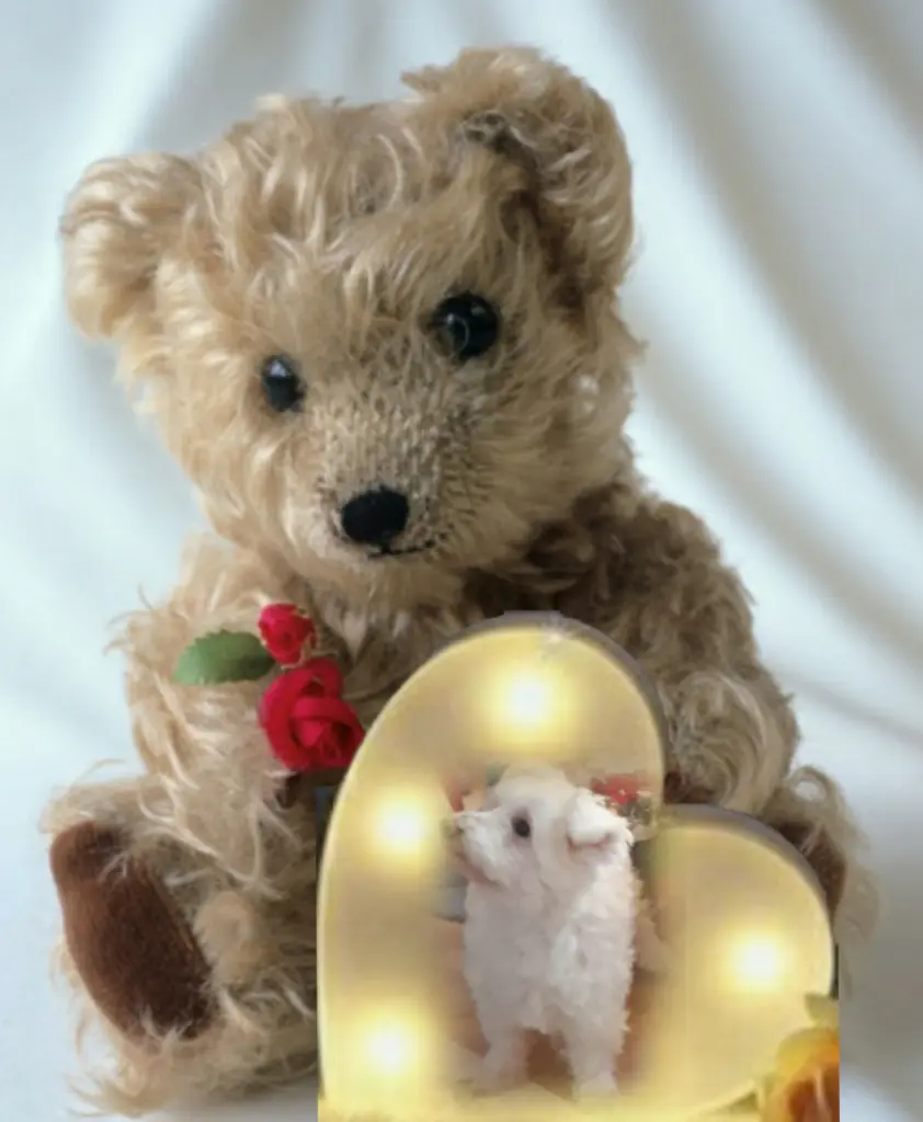 Condolence image of ⭐Gute Nacht⭐