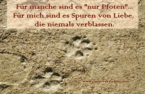 Condolence image of Elke und Horst mit Fiby ❤️