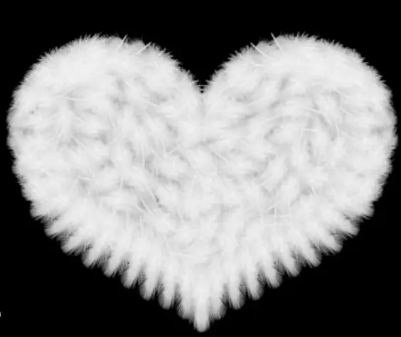 Condolence image of Für unseren kleinen Engel Samy ♥️⭐♥️