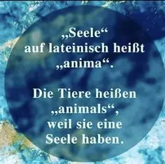 Condolence image of Elke und Horst mit Fiby ❤️