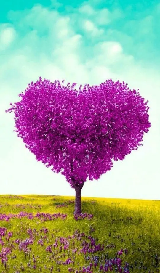 Condolence image of Für immer geliebt ♥️