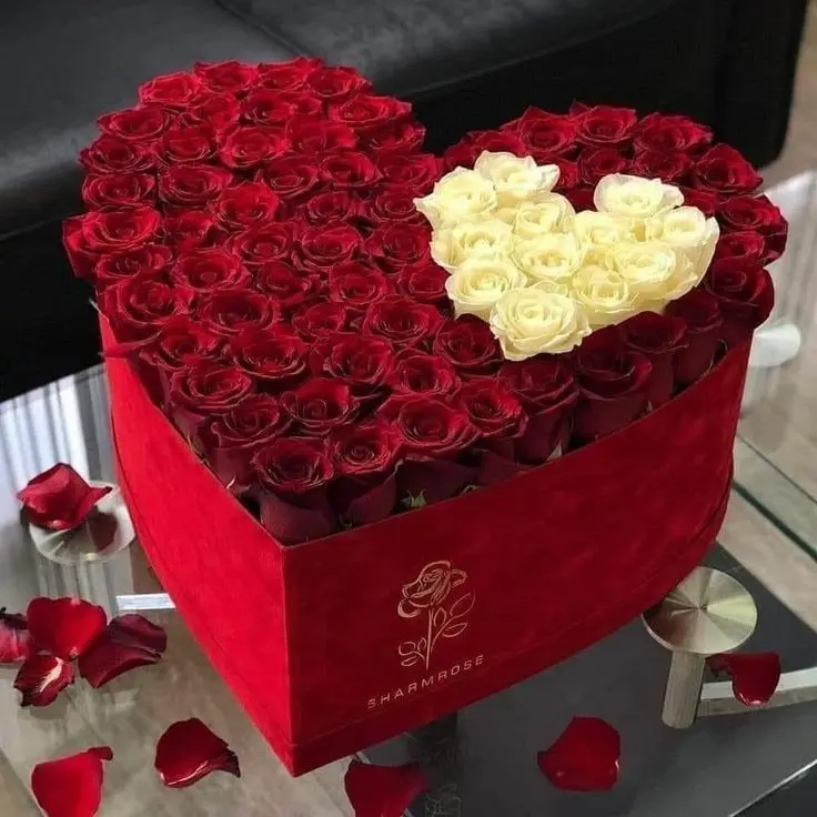 Condolence image of Für unseren kleinen Engel Samy ♥️⭐♥️