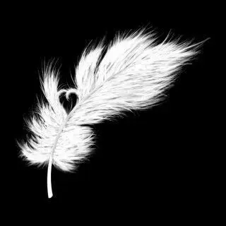 Condolence image of Deiner Familie ♥️