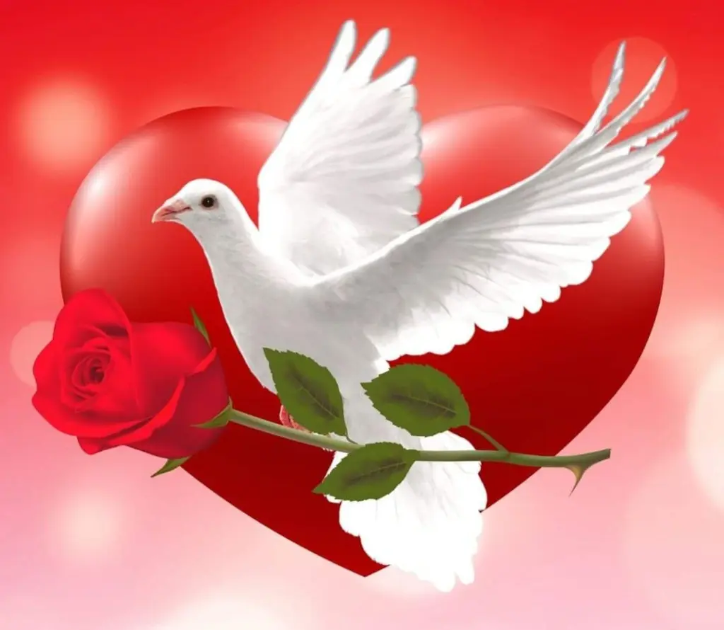 Condolence image of ❤️❤️