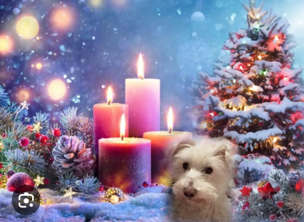 Condolence image of ❤️4. Advent❤️