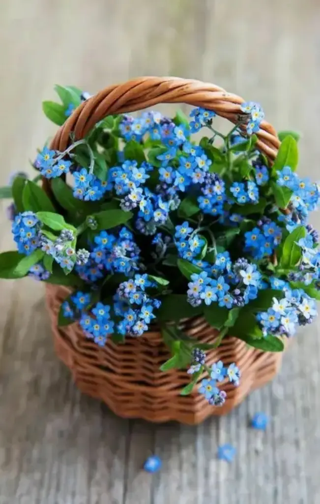 Condolence image of Du fehlst ♥️ kleiner Engel!