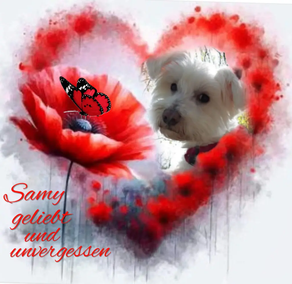 Condolence image of ♥️Geliebt und unvergessen♥️