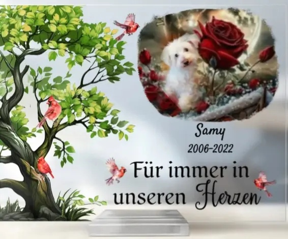 Condolence image of Von deiner Familie ♥️