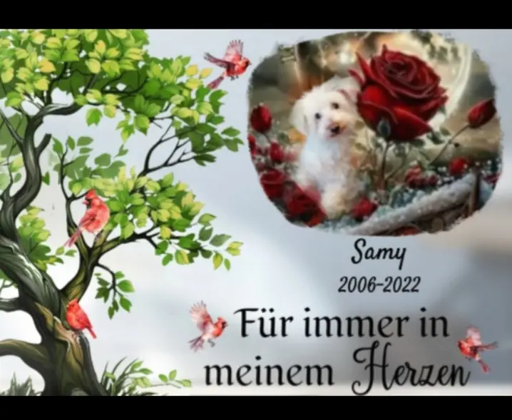 Condolence image of Von deiner Familie ♥️