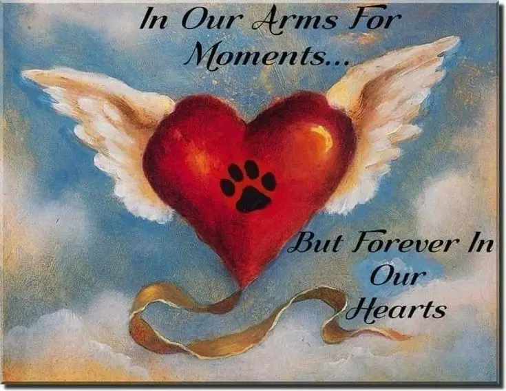 Condolence image of Von deiner Familie ♥️