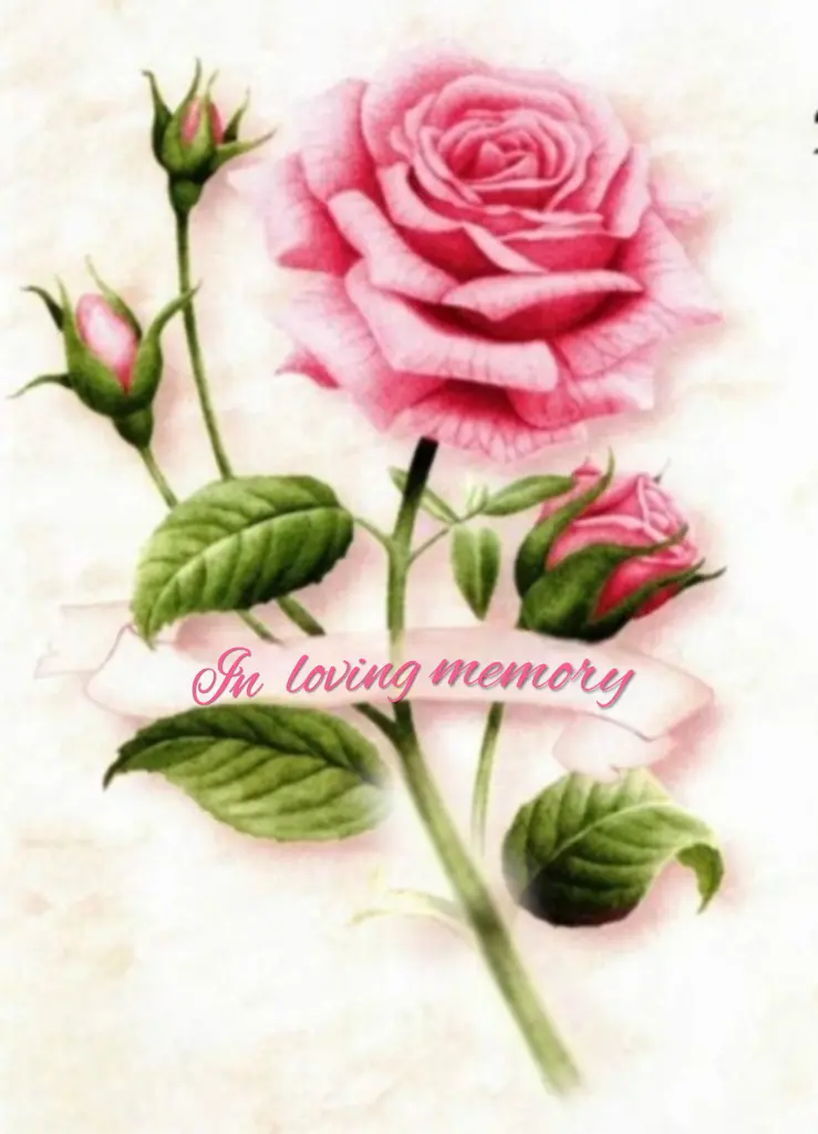 Condolence image of E&K mit Jacki♥️ tief im Herzen♥️
