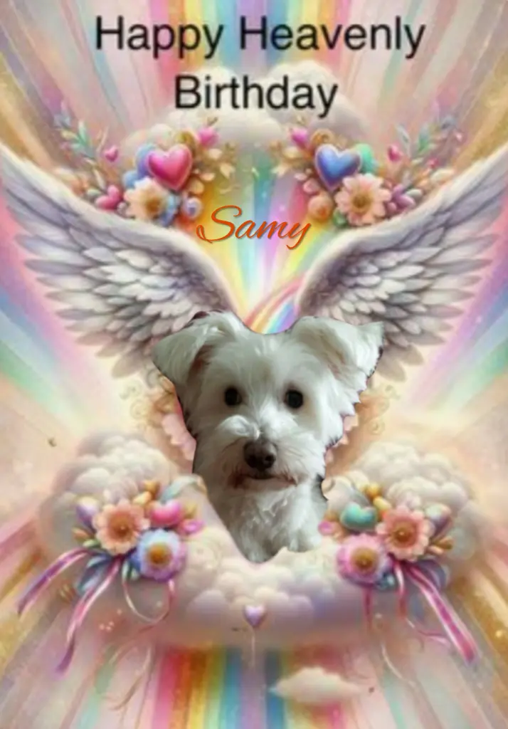 Condolence image of ♥️Happy Birthday lieber Samy♥️