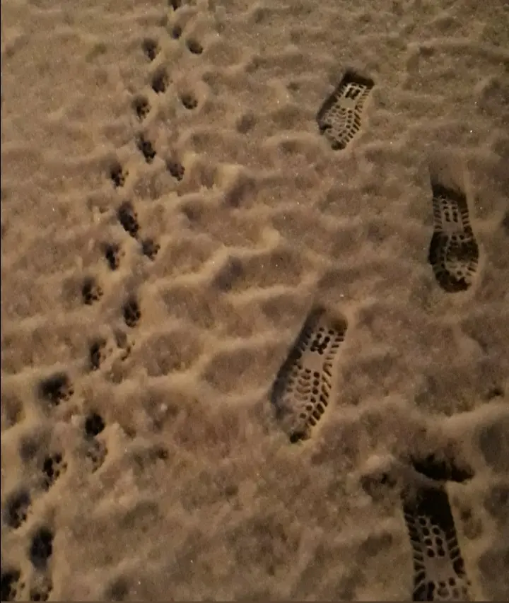 Condolence image of Für unseren kleinen Freund Samy ♥️⭐♥️