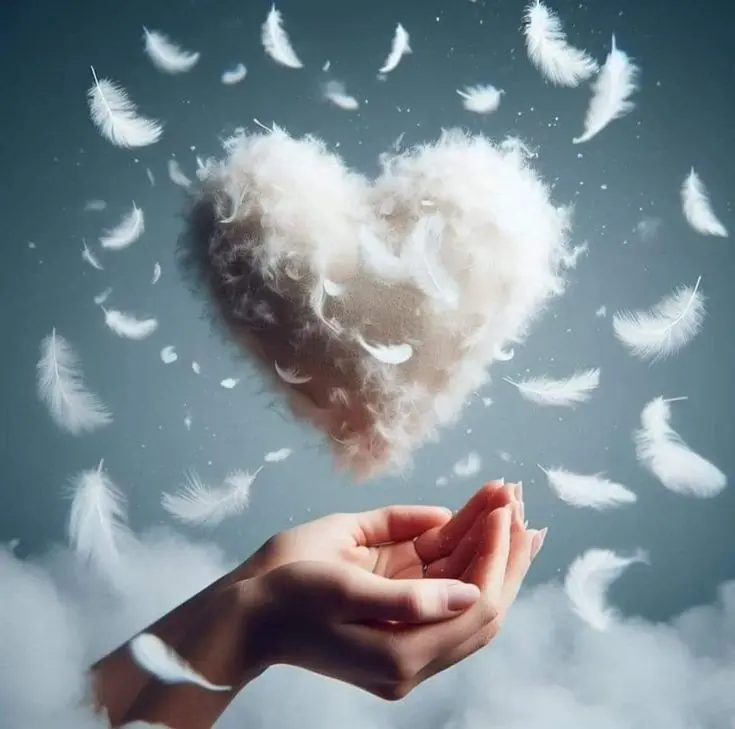 Condolence image of In Liebe für Samy ♥️⭐♥️