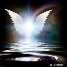 Condolence image of Angelika mit Luna ❤️