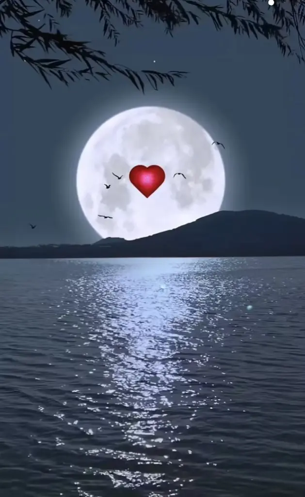 Condolence image of Für unseren kleinen Engel Samy ♥️⭐♥️