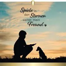 Condolence image of ❤️ in stillem Gedenken ❤️