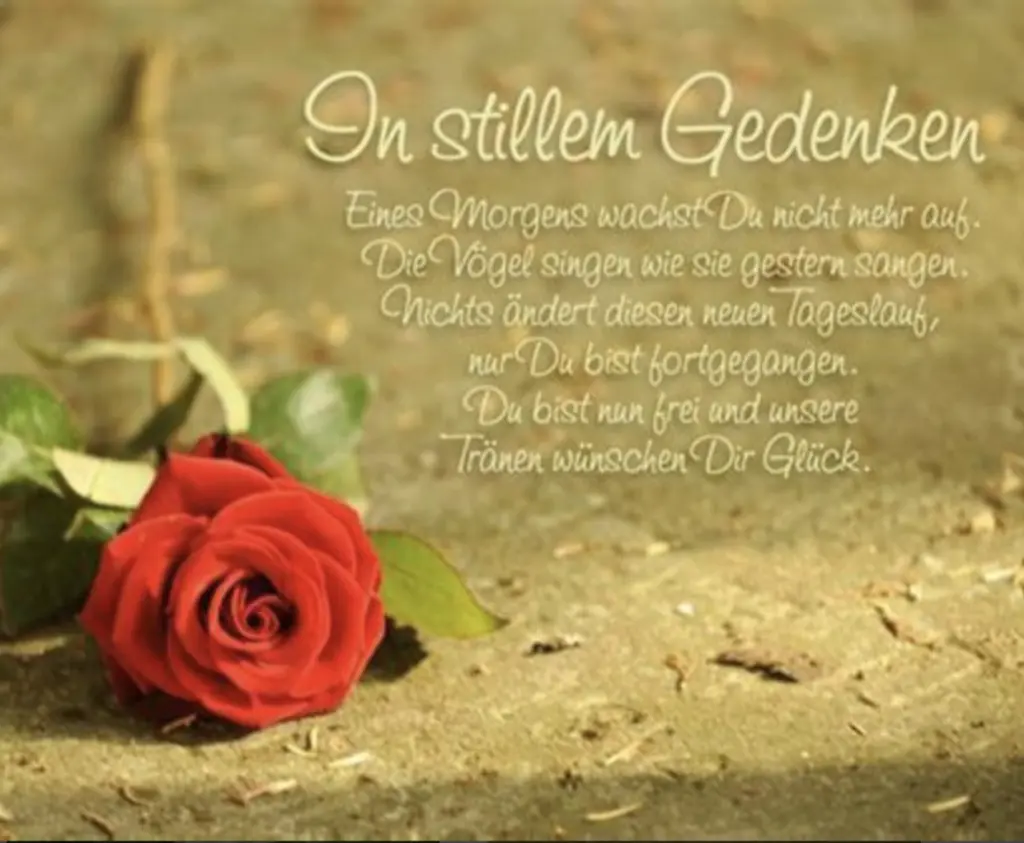 Condolence image of 🕯️in stillem Gedenken 🕯️