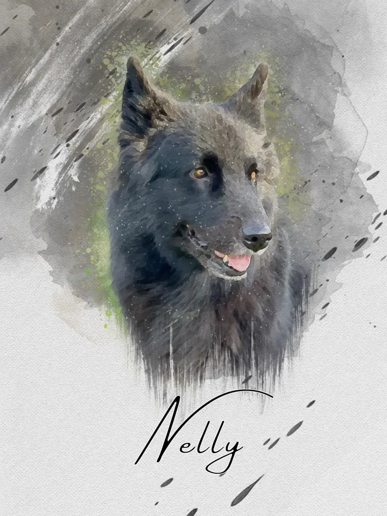 Image from Nelly