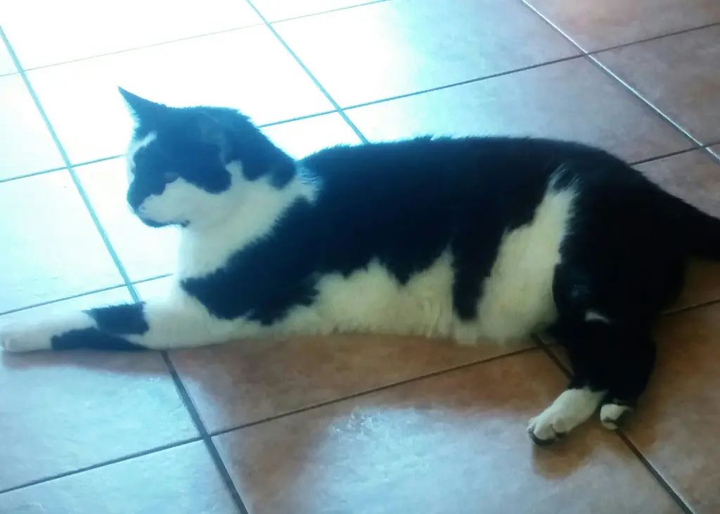 Condolence image of Annemarie und Elke mit Snoopy im Herzen gest 04.01.2022