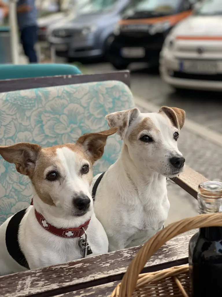 Image from Maggy