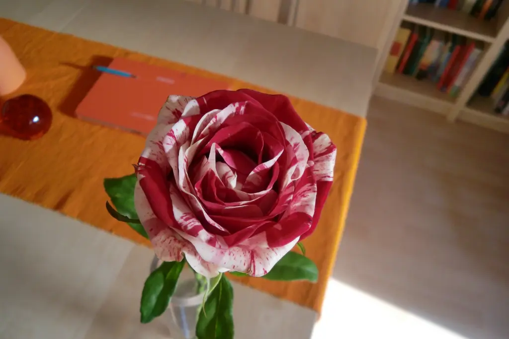 Condolence image of Unbekannt