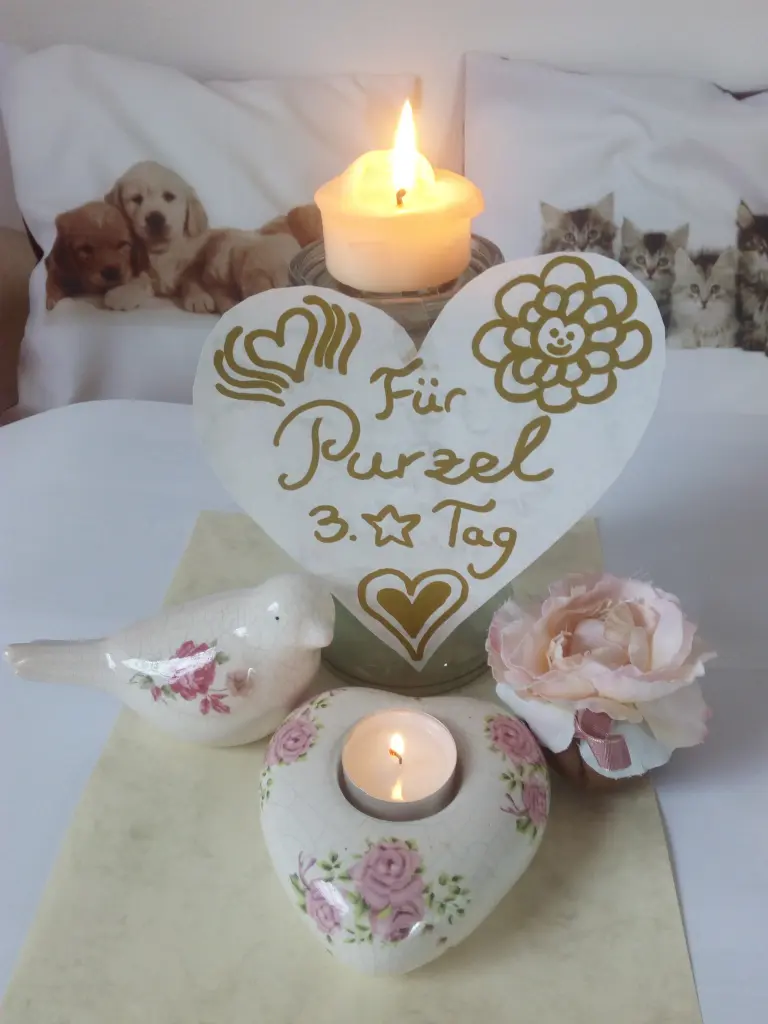 Condolence image of Für Purzel zum 3. Sternchen-Tag