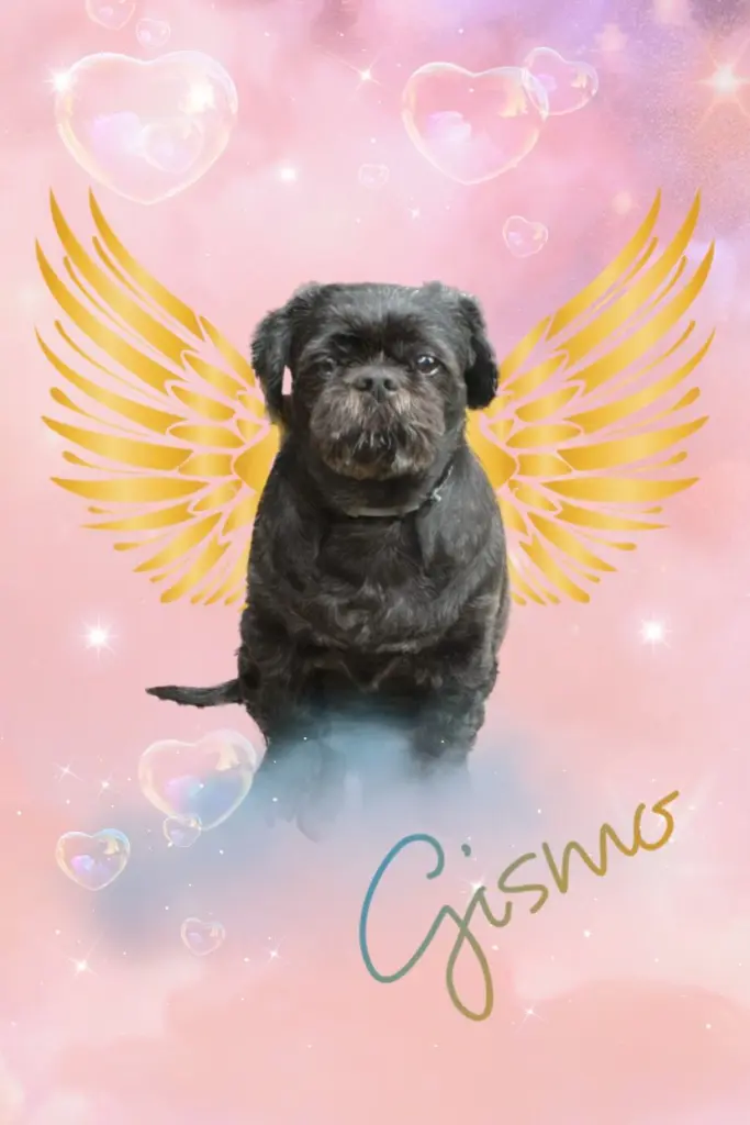 Condolence image of Marion Laaser