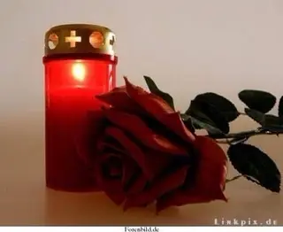 Condolence image of Sigrid 