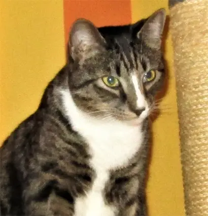 Condolence image of Karin mit Filou1 im Herzen und Filou2 an meiner Seite