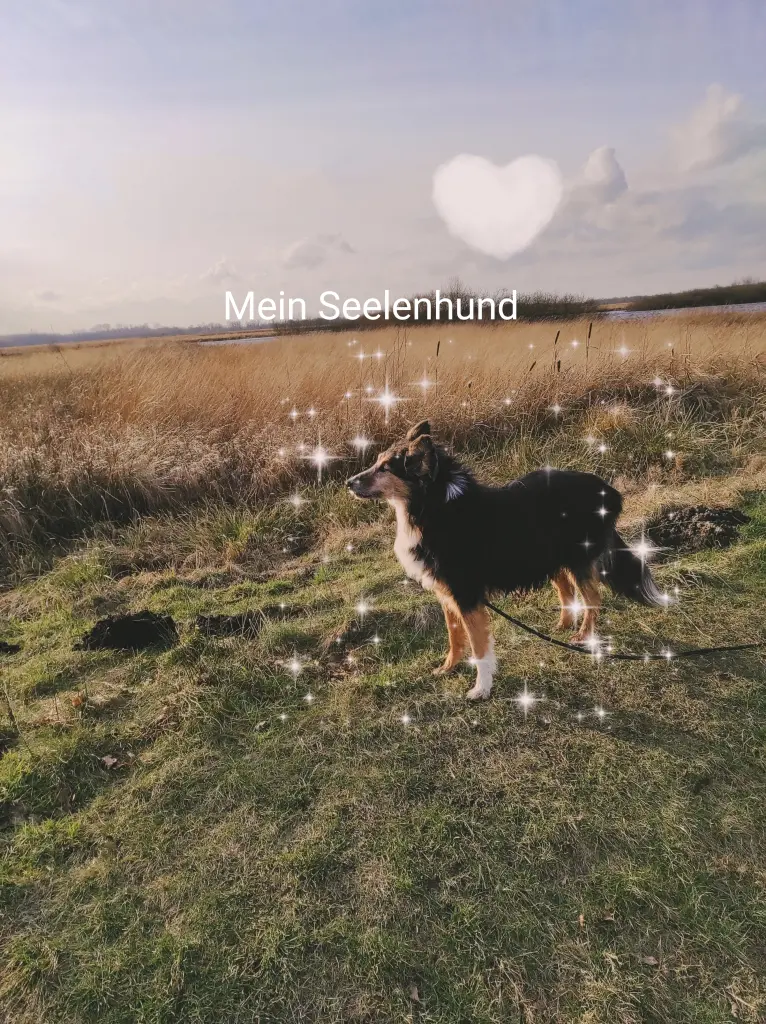 Image from Buddy