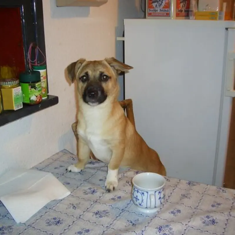 Condolence image of Doro