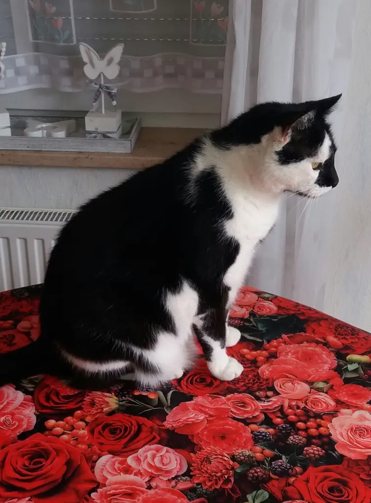 Andachtsbild von Annemarie und Elke mit Snoopy im Herzen gest 04.01.2022