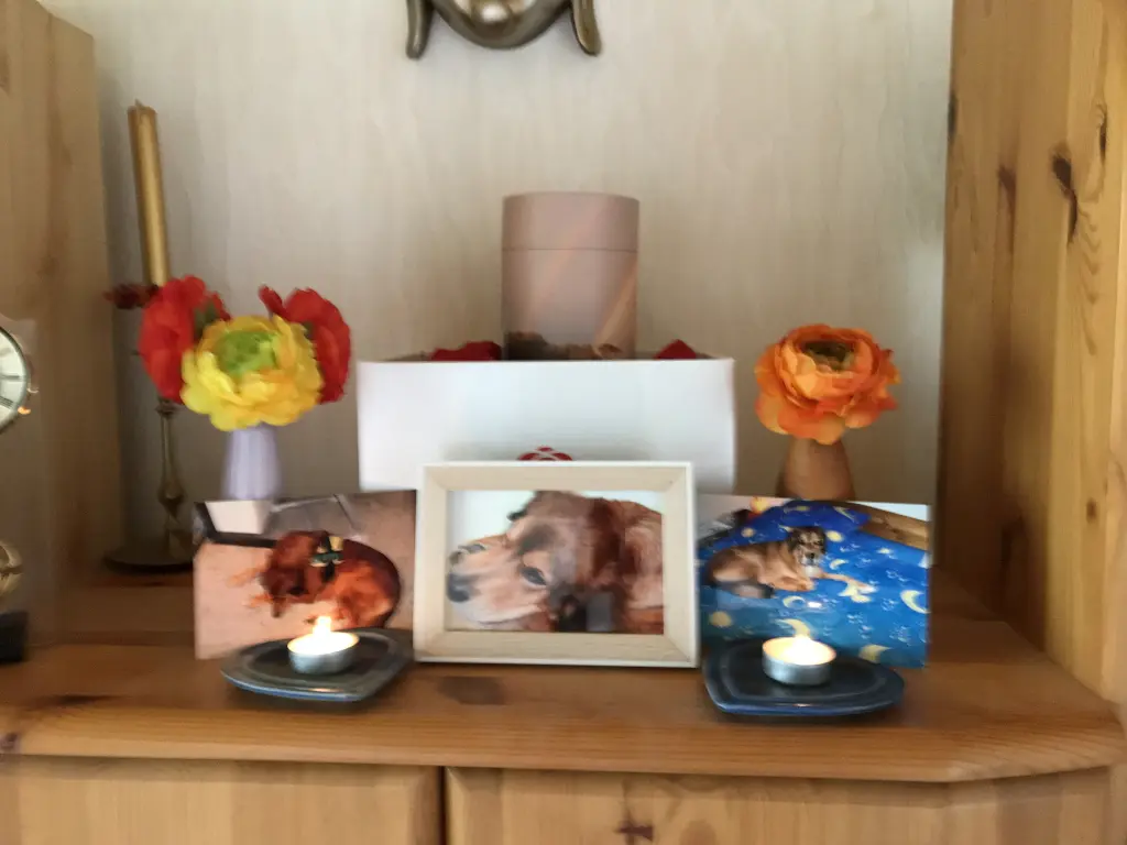 Andachtsbild von Peter  Opa Wolf