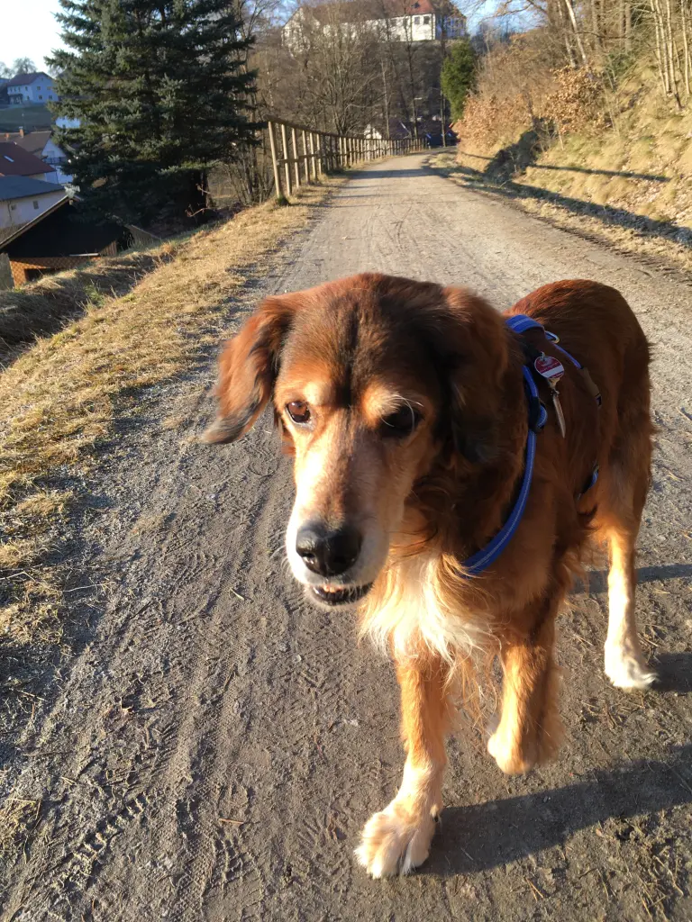 Bild von Chon Chi Papageno