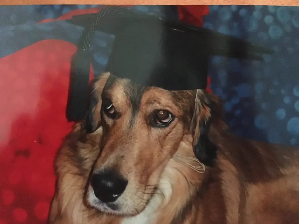 Bild von Chon Chi Papageno