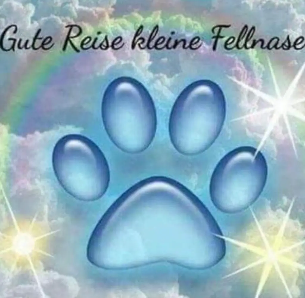 Andachtsbild von Uta