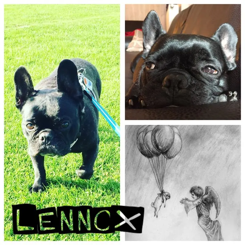 Image from Lennox