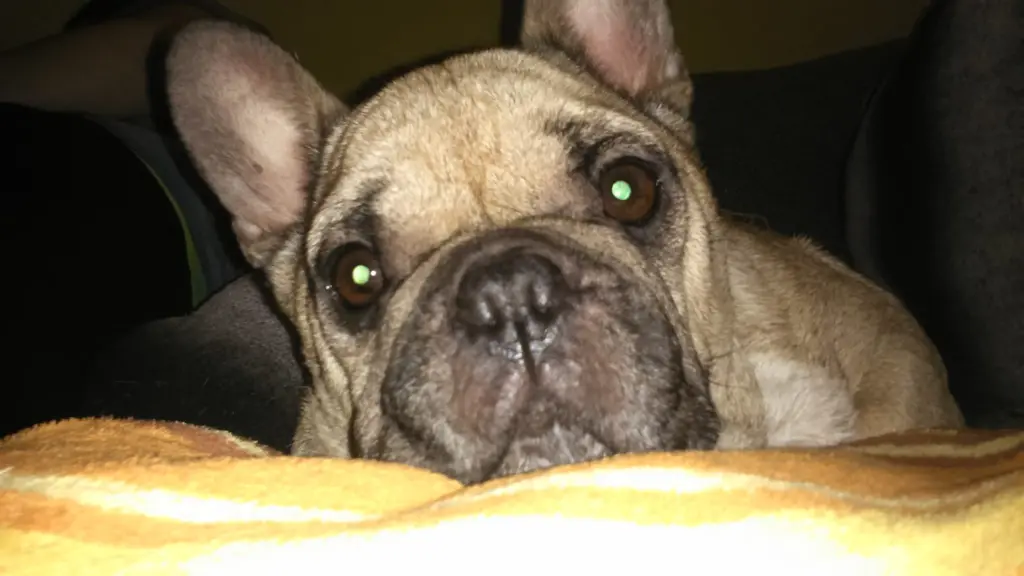 Image from Abby
